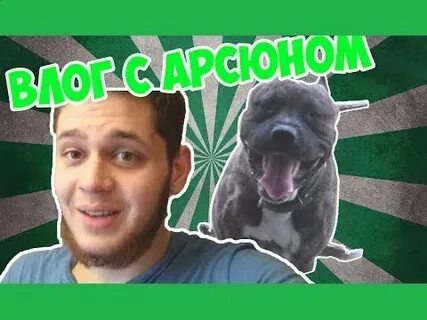 Влог с собакой