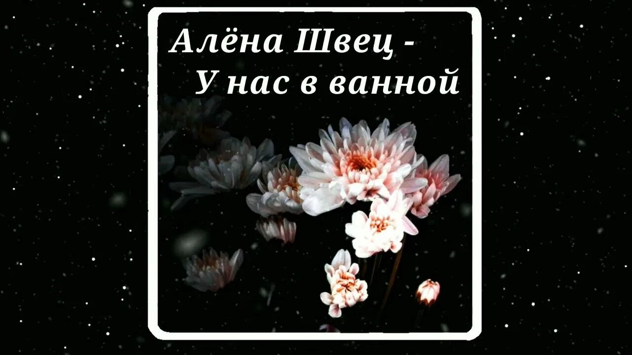 У нас в ванной жили звезды. У нас в ванной жили звёзды.