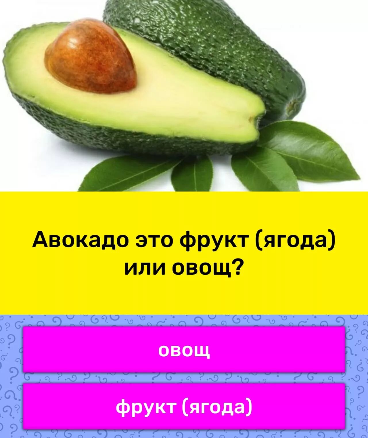 Авокадо это орех или ягода. Авокадо это фрукт или овощ. Авокадо это фрукт или овощ или ягода. Авокадо это фрукт или ягода. Авокадо это овощ.