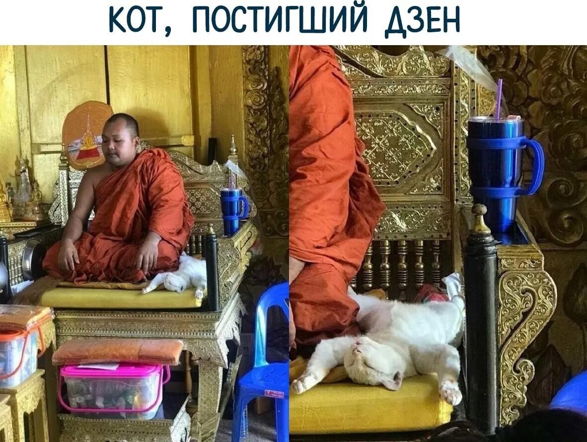 Будь другом дзен