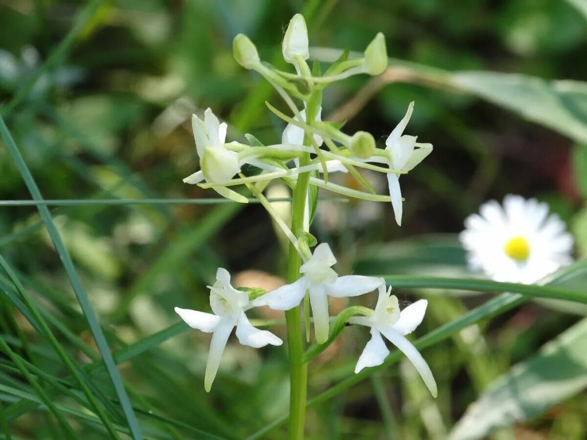 Любка фильм 2009 коммуналка. Елена лядова любка. Андрей степанович любка. Городенцева анастасия в фильме любка. Любка фильм 2009 коммуналка.