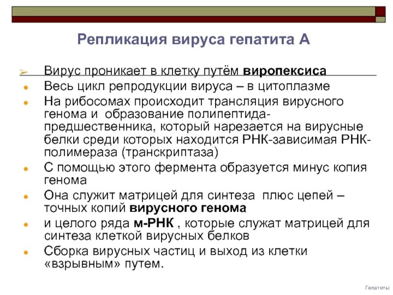 Стадия репликации вируса. Схема репликации вируса гепатита а. репликация вируса гепатита в. репродукция вируса гепатита в. механизм репликации вируса гепатита б.
