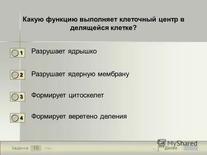 Какую функцию выполняет клеточный