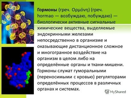 Гормон служит