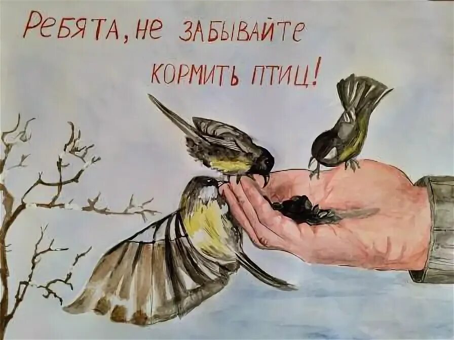 Девиз птиц. Покормите птиц зимой 2022. Покормите птиц зимой акция 2022 плакаты. Конкурс Покормите птиц зимой 2022.