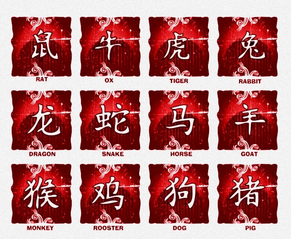Китайские таблички с иероглифами. Знаки зодиака на японском иероглифы. Тату китайские иероглифы знаки зодиака. Знаки зодиака на китайском иероглифы.