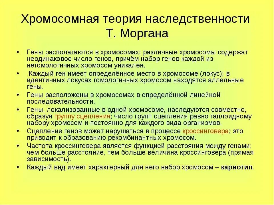 Положениями хромосомной теории наследственности является