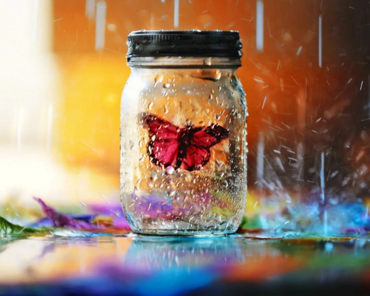 носки в банке теплые. баклажаны маринованные в банке. теплое место в банке. теплое место в банке. овес в банке.