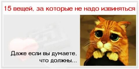 Что делать если не хочешь извиняться