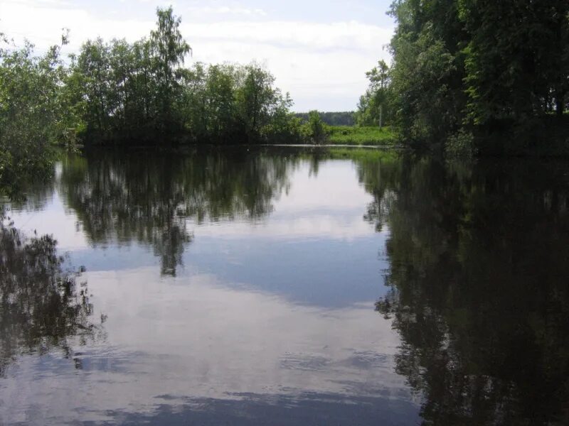 озернинское водохранилище рузский район. щербинки. деревня щербинка домодедовский район. база отдыха новокурово. лагерь гарри поттера в подмосковье.