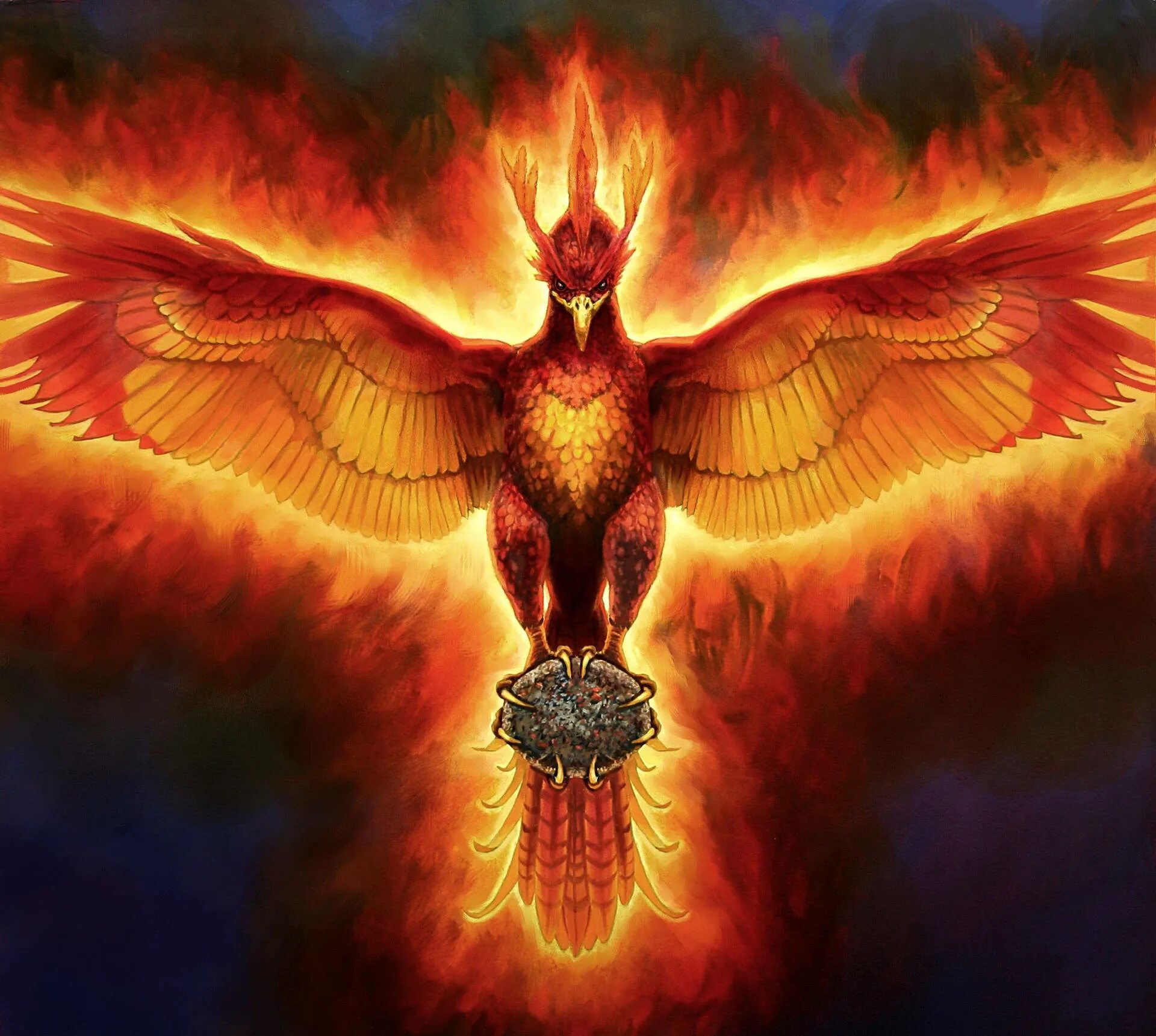 Феникс 1590*530. New phoenixes. New phoenixes. New phoenixes. Огненный сокол рарог.