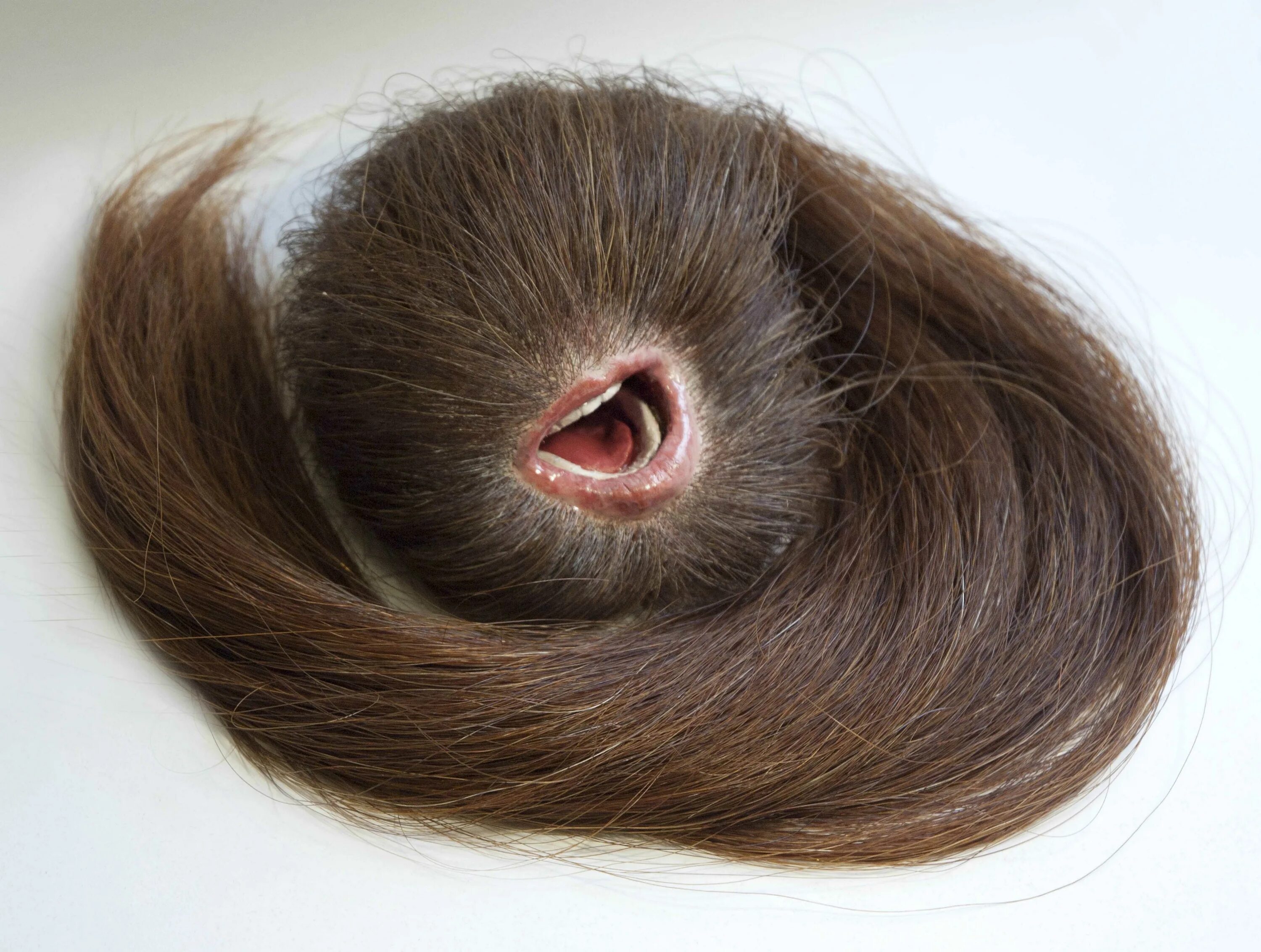 Ресница растет внутрь глаза. Выпашвие наращенные ресницы. Серо-карие глаза у ребенка. Растешь на глазах. Трихотилломания брови.