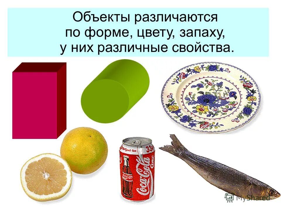 Различать предметы по форме. Различать предметы по форме