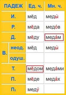 Как правильно пишется склонение