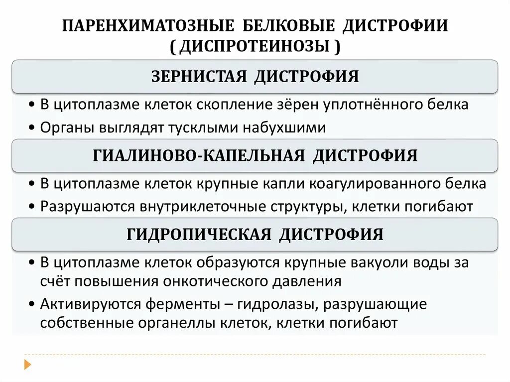 Схема белковые дистрофии. Паренхиматозная белковая зернистая дистрофия. Причины паренхиматозных дистрофий. Причины паренхиматозных белковых дистрофий.