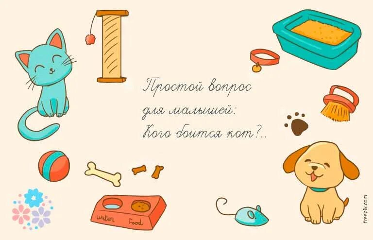 Загадки про котов. Загадка про кота. Загадки про котиков для детей. Загадка про котенка. Загадки про котенка для 1 класса