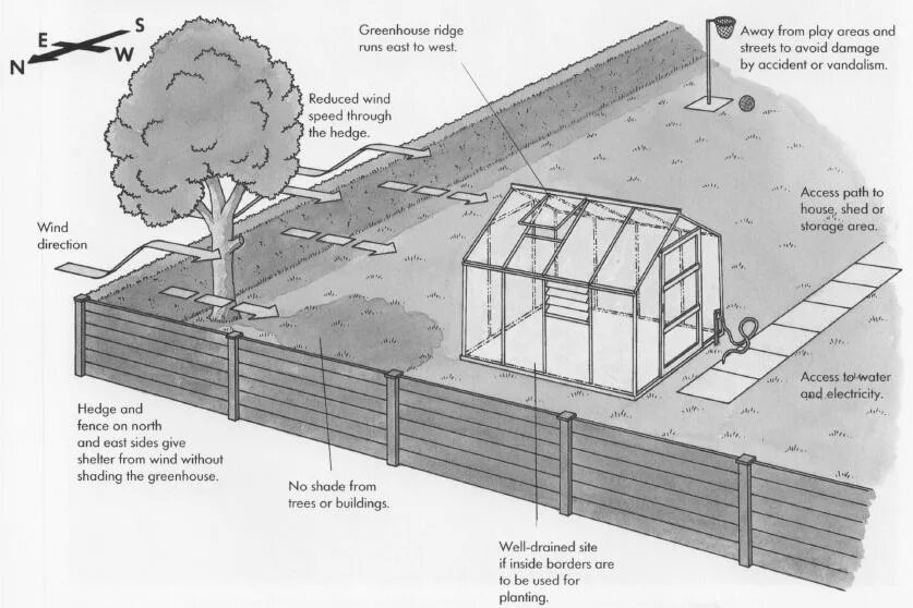 Теплица из поликарбоната по сторонам света. Правильное размещение теплицы на участке. Правильно расположение теплицы относительно сторон света. Схема установки освещения в теплице. Как разместить теплицы и грядки на участке.