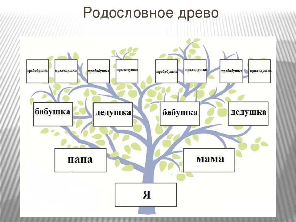 Как составить родословную пример. Проект по окружающему миру 2 класс Древо семьи. Схема родословной семьи 2 детей. Как правильно составить родословную 2 класс. Имена обозначающие дерево