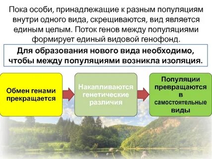Миграция генов