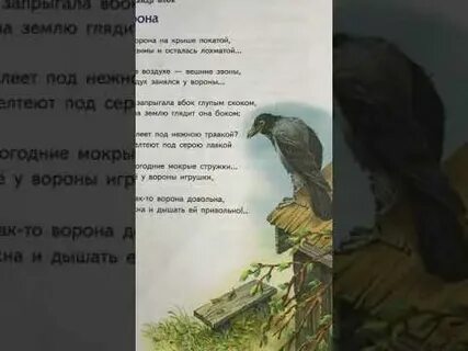 Ворона блок анализ