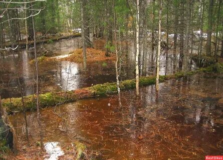 Водные владения
