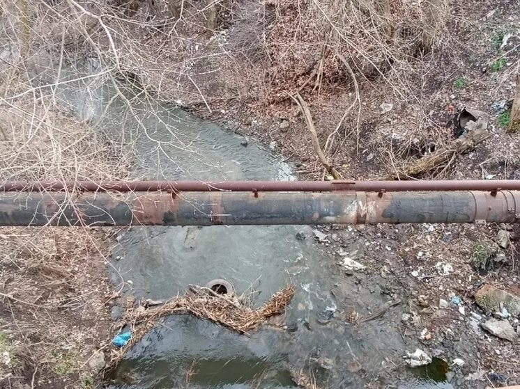Донецко донская донецкую. Донецк микрорайон заперевальная. Донецко-криворожская республика флаг. Вода донбасса схема. Донецко донская донецкую.