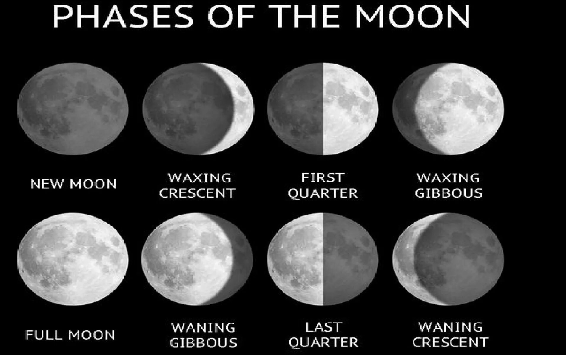 Waxing Gibbous Moon. Moon phases. Waning Gibbous. Фазы Луны phases of the Moon. Фаза луны сегодня 2024 год март какая