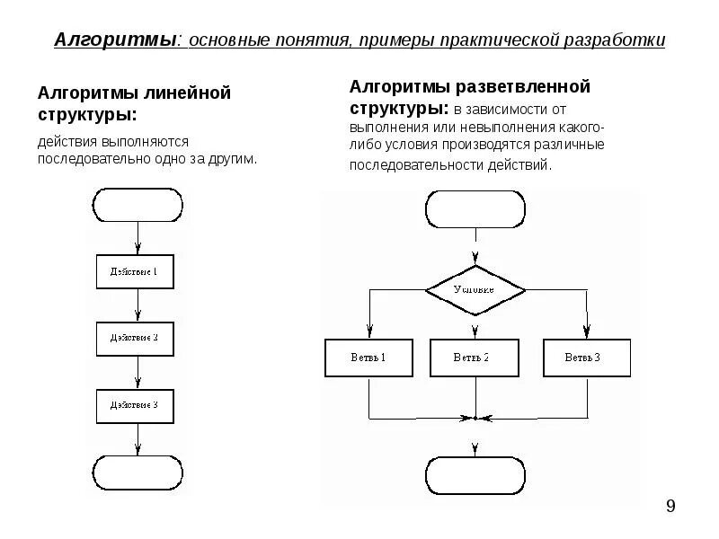 Алгоритмы определение примеры