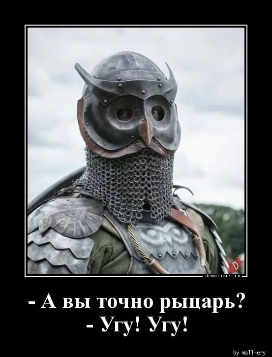 Рыцарь правда. Рыцарь правда