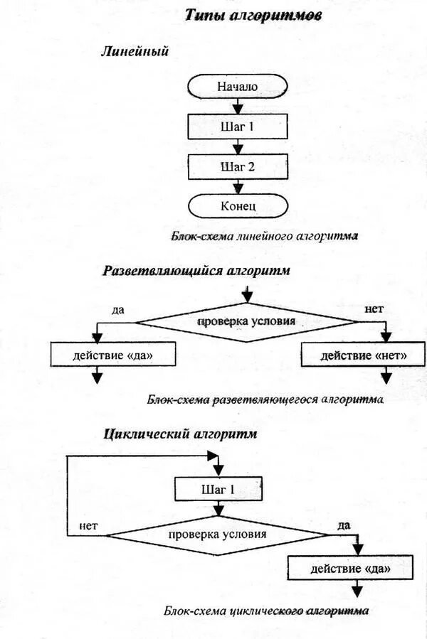 Урок информатики на тему "Определение, виды и свойства алгоритмов. Основные (баз
