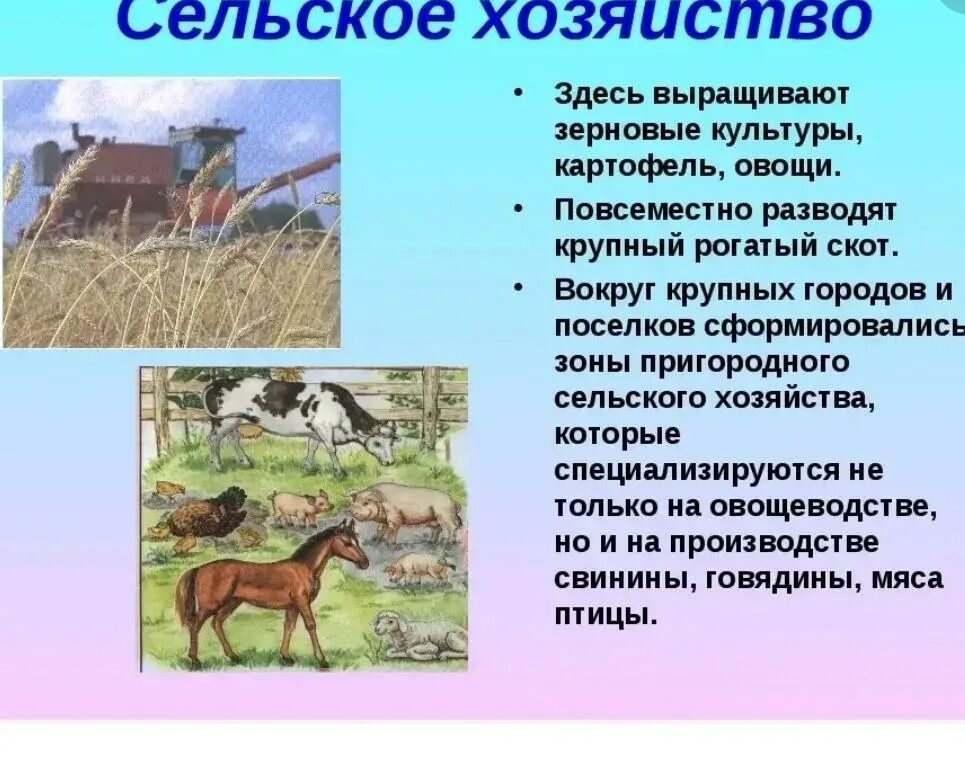 Работы какой край
