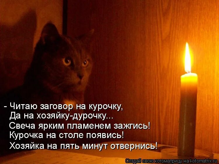 Почему опять выключилась. Свеча котик. Котик со свечкой. Кот выключает свет.