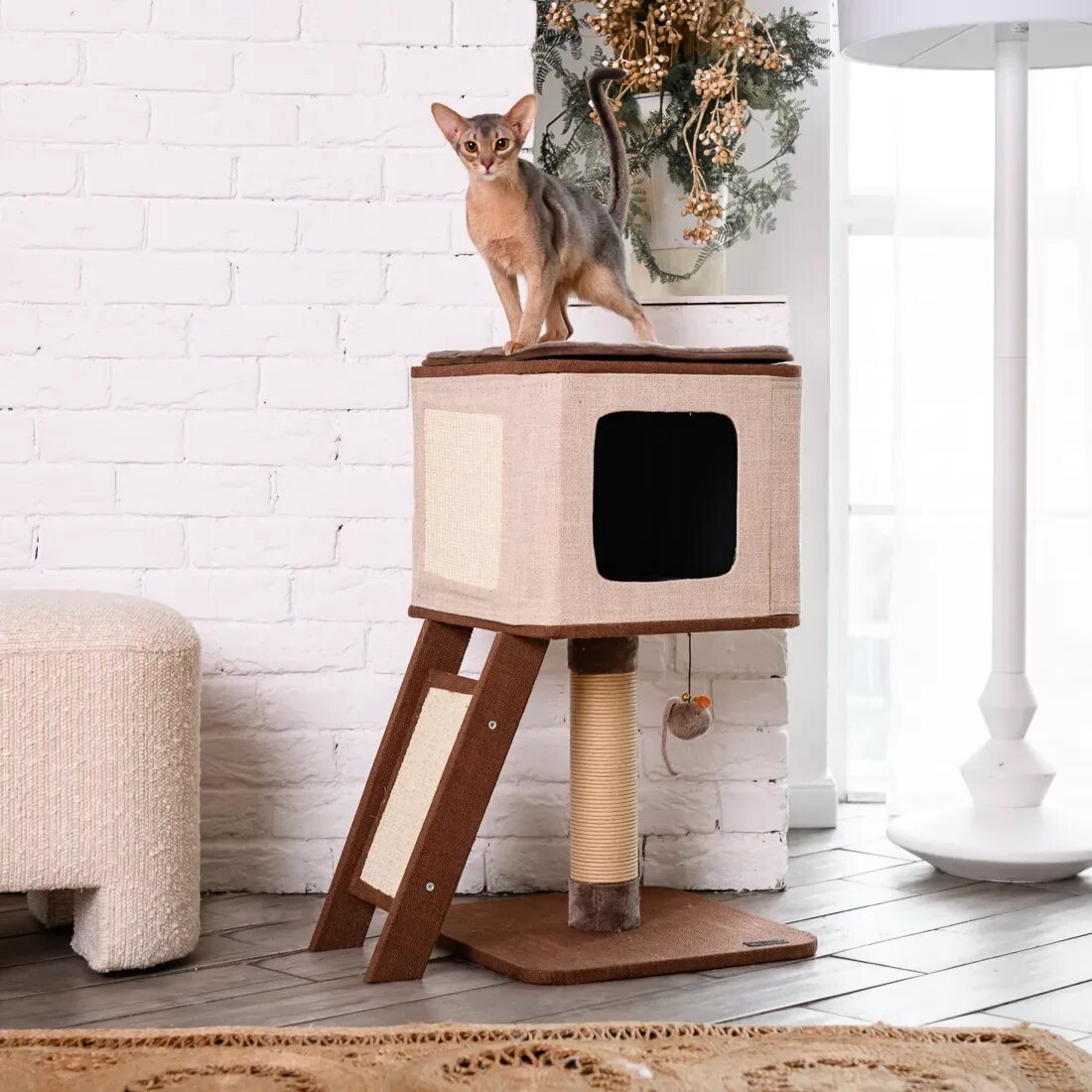 Когтеточка petmax. Игровой комплекс ct17 для кошек, 650*570*1240мм. Домик для кошки petmax. Дом когтеточка petmax 60*40*70. Petmax когтеточка 30х45 см.