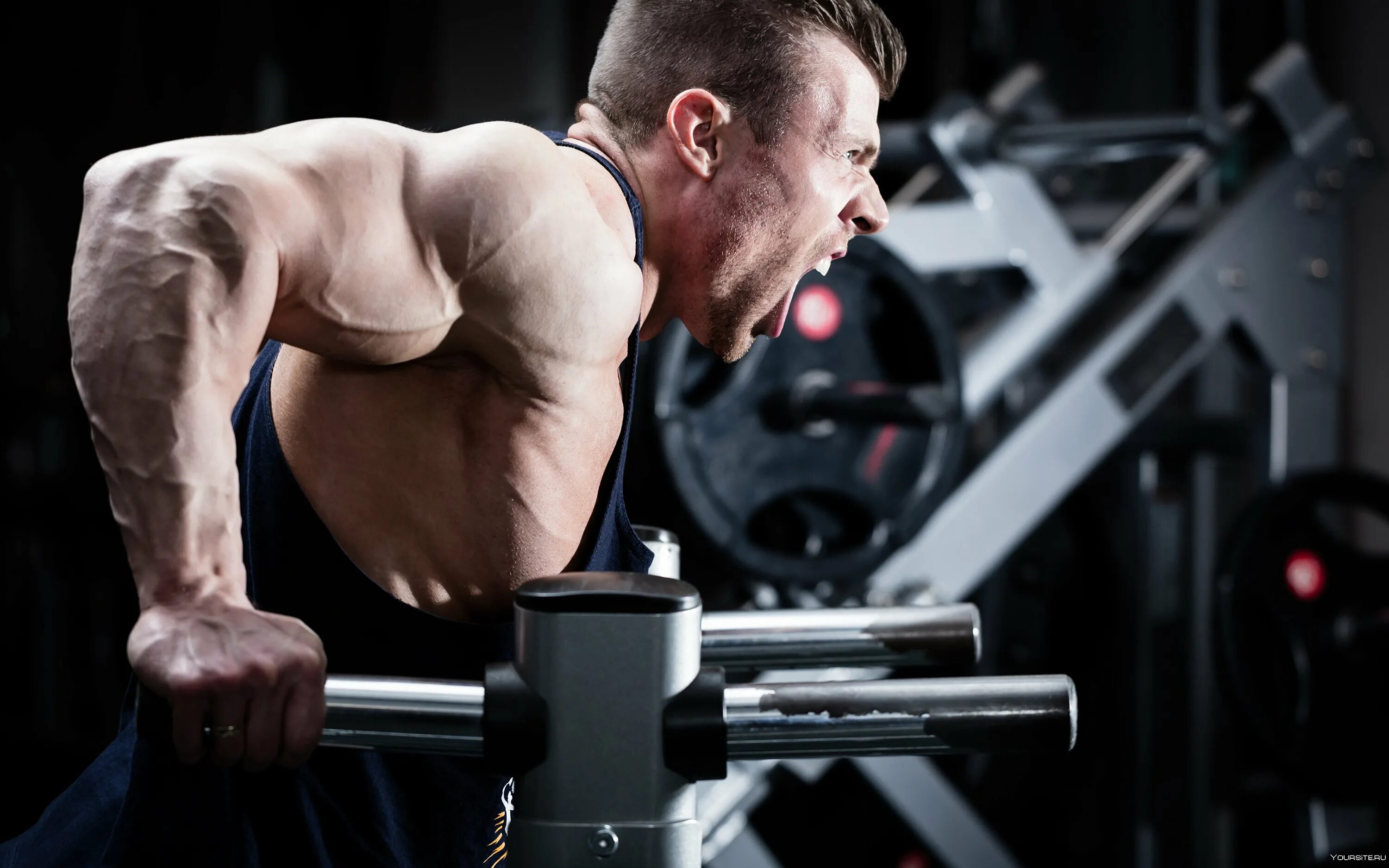 план тренировок в фитнес зале для похудения. план тренировок в тренажерном зале для мужчин на месяц. план тренировок для набора мышечной массы для мужчин. план тренировки в тренажерном зале для мужчин на тренажерах. программа тренировок в тренажерном зале для мужчин 3 раза в неделю.