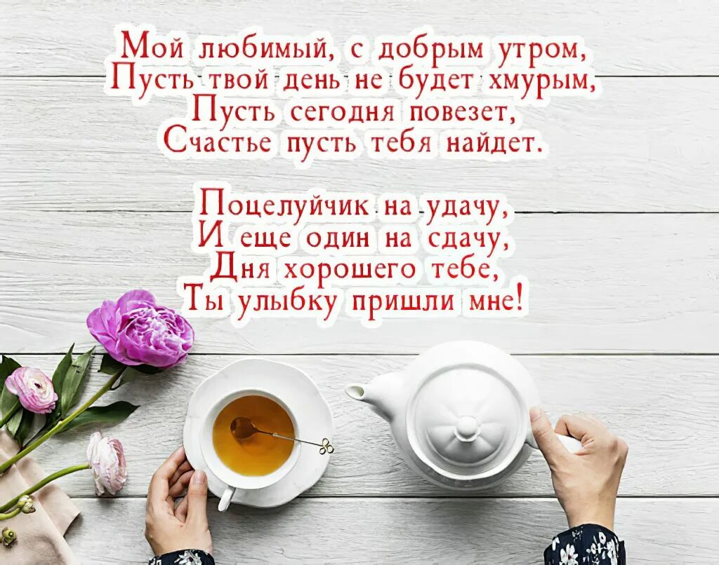 Pin von Светлана auf Доброе утро, вечер... Guten morgen sonnenschein, Guten morg