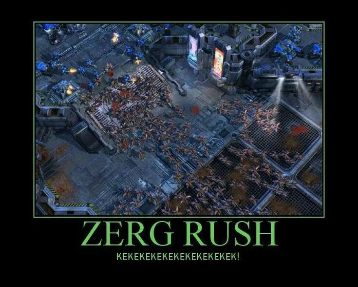 Zerg rush. Zerg crash. старкрафт раш. мем зерграш. зерг раш мем.