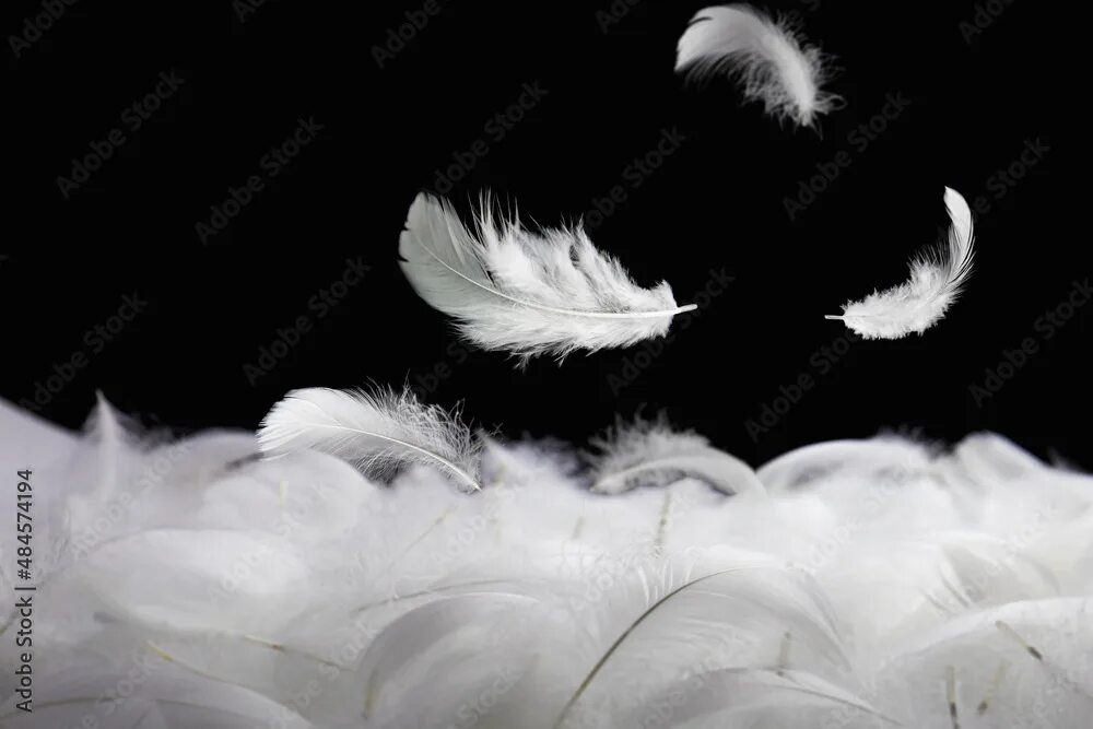 Flying feather