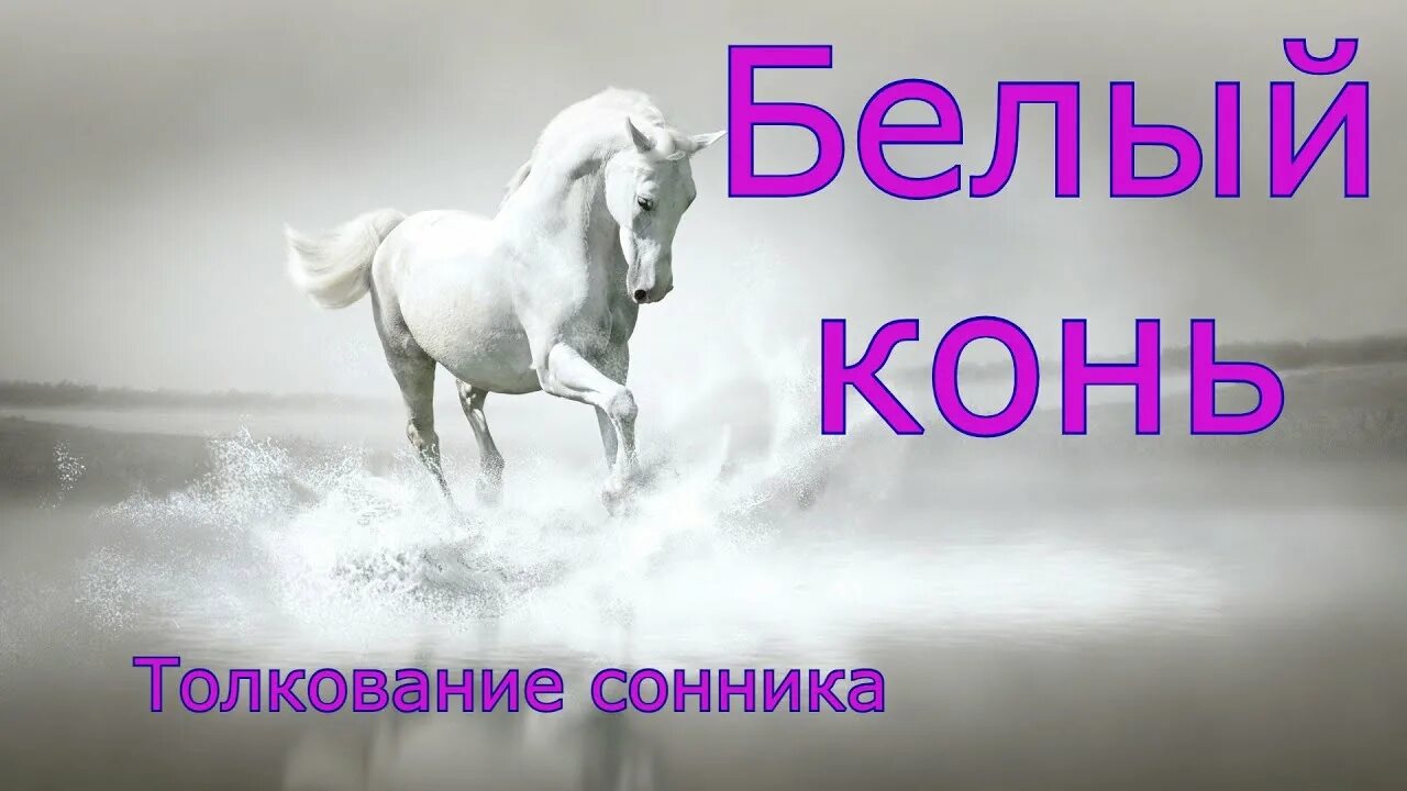 Толкование снов к чему снятся лошади. Приснился конь. Приснился белый конь. Лошадь во сне к чему снится. К чему снится белая лошадь.