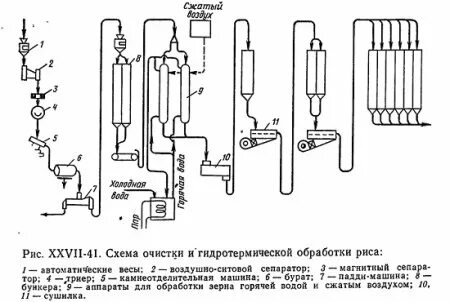 Схема риса