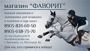 Фаворит ответы