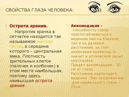Большие глаза характеристика