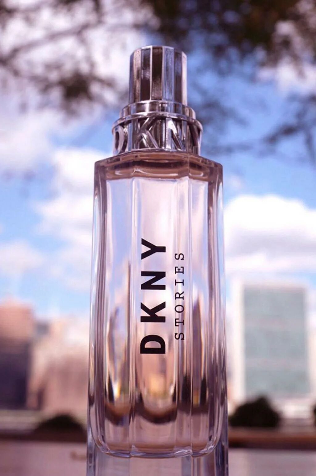 DKNY stories 100. DKNY stories 100ml. DKNY stories 30 ml EDP. Donna Karan DKNY stories.