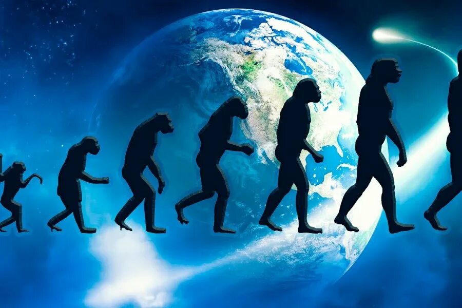 Жизни путем эволюции. Происхождение человека. Человеческая цивилизация. Эволюция человека. Зарождение человека.