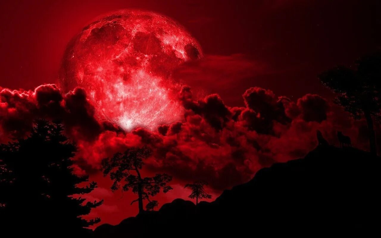 Конец света 8 апреля 2024. Bloodmoon. Красная Луна. Кровавая Луна. Красная ночь.