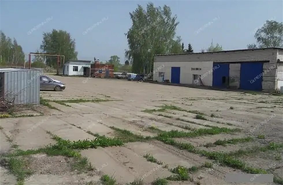 Поселок буревестник богородский. Посёлок Буревестник Богородский район. Поселок Буревестник Богородский район Нижегородская область. Поселок Буревестник Нижний Новгород. Поселок Буревестник Самарская область.