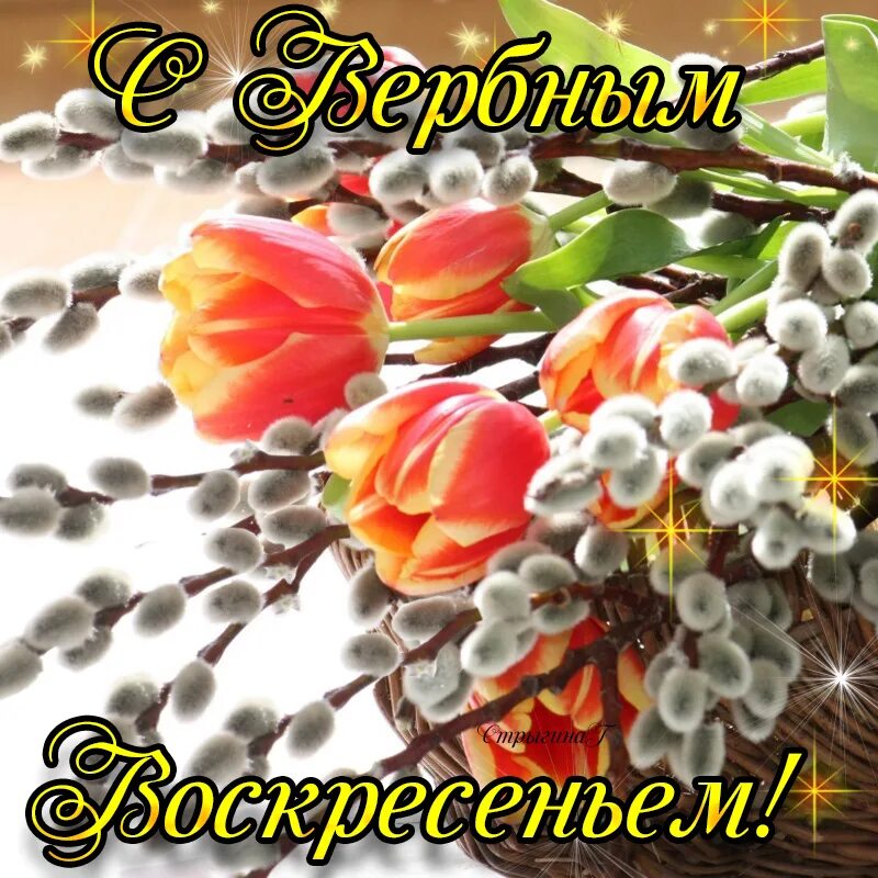 Открытки с добрым утром вос. Доброе воскресное весеннее утро. Воскресенье март картинки красивые. Доброго весеннего дня. Теплого весеннего дня.