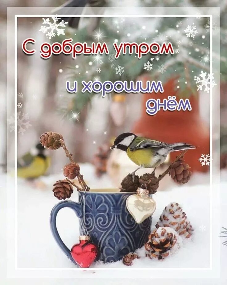 Доброе зимнее утро и февраля хорошего дня. Доброе зимнее утро. с добрым утром зима. доброго зимнего утра и хорошего дня. открытки с добрым утром зимние.