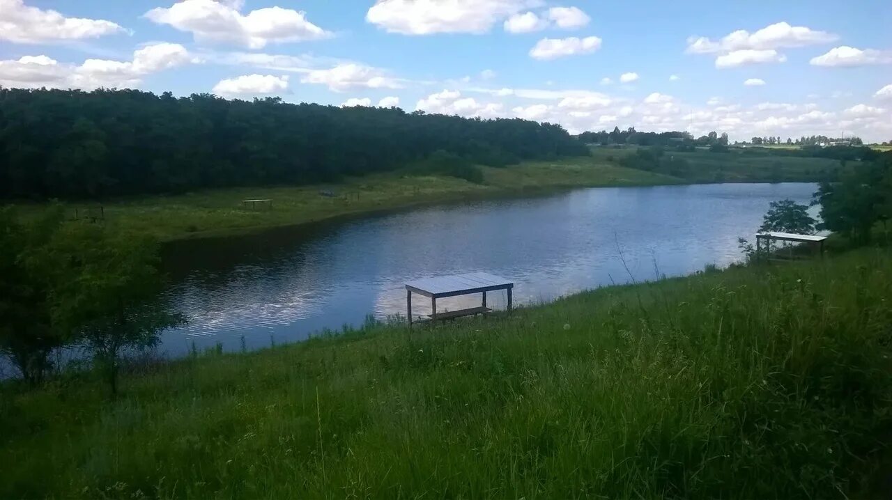 Пруд в собственность. Лесное озеро абинский район. пруд арендован. пруд в аренду. пруд над землей.