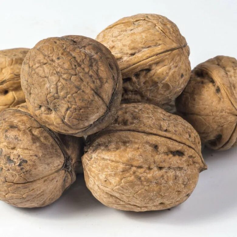 Грецкий орех неочищенный узбекистан. Грецкий орех великан. Грецкий орех 1. Грецкий орешек. Грецкий орех фото.