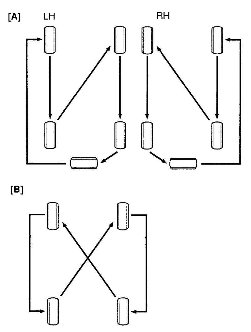 Схема замены колес для равномерного износа. Схема перестановки колес КАМАЗ 65115. Схема перестановки колес КАМАЗ 43253. Схема перестановки колес ЗИЛ 130. Схема перестановки колес КАМАЗ 43265.